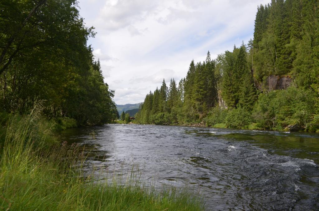 Doskelandslia Camping Sygna 외부 사진